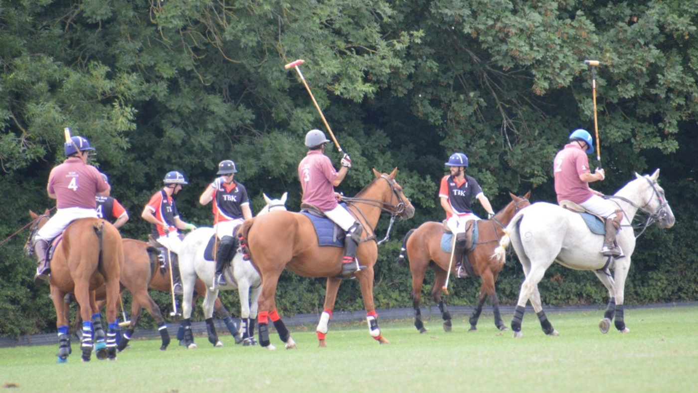 Horse experience days South West