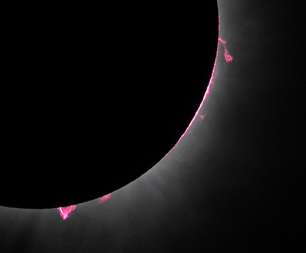 Prominences leap out of the sun during the April 8 total solar eclipse.