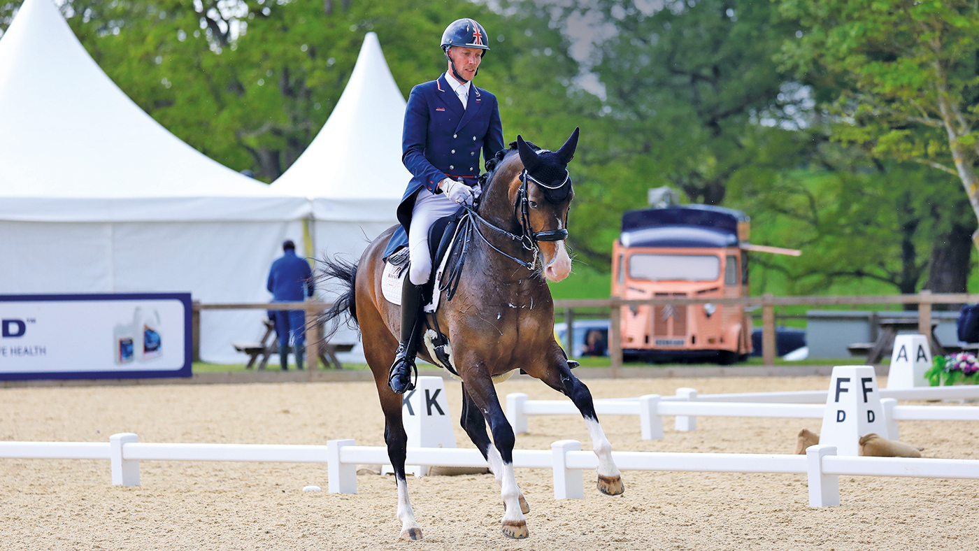 HAH307.dr_hickstead.helga_hickstead_report_spidge_comm1use.jpg