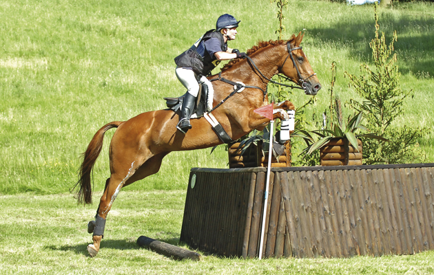 CATTON-01.jpg