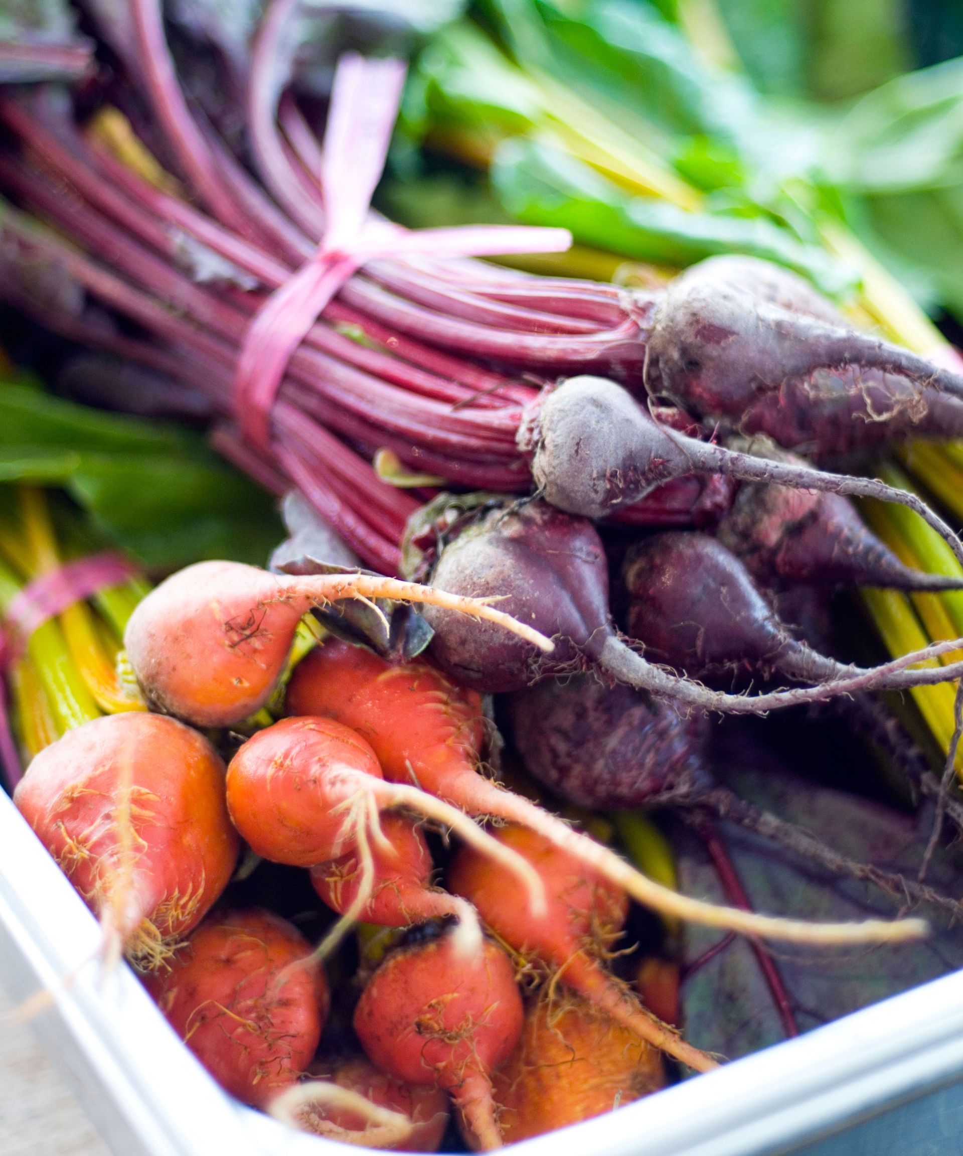 When to plant beets for a healthy harvest through the year Homes
