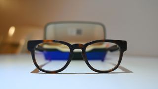 Fauna audio glasses review