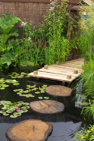 wooden stepping stone path across pond