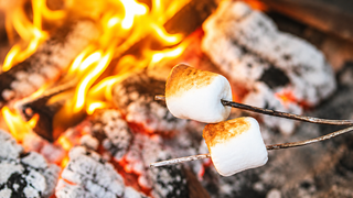 Marshmallows on a campfire
