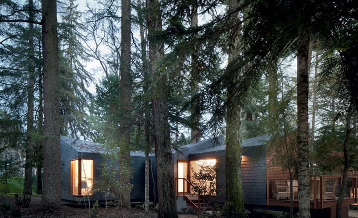 Exterior view of the Pedras Salgadas Spa. Nested between tall pine trees, we see a gray tile-like facade, rooms with lights on, and an outdoor seating area. 