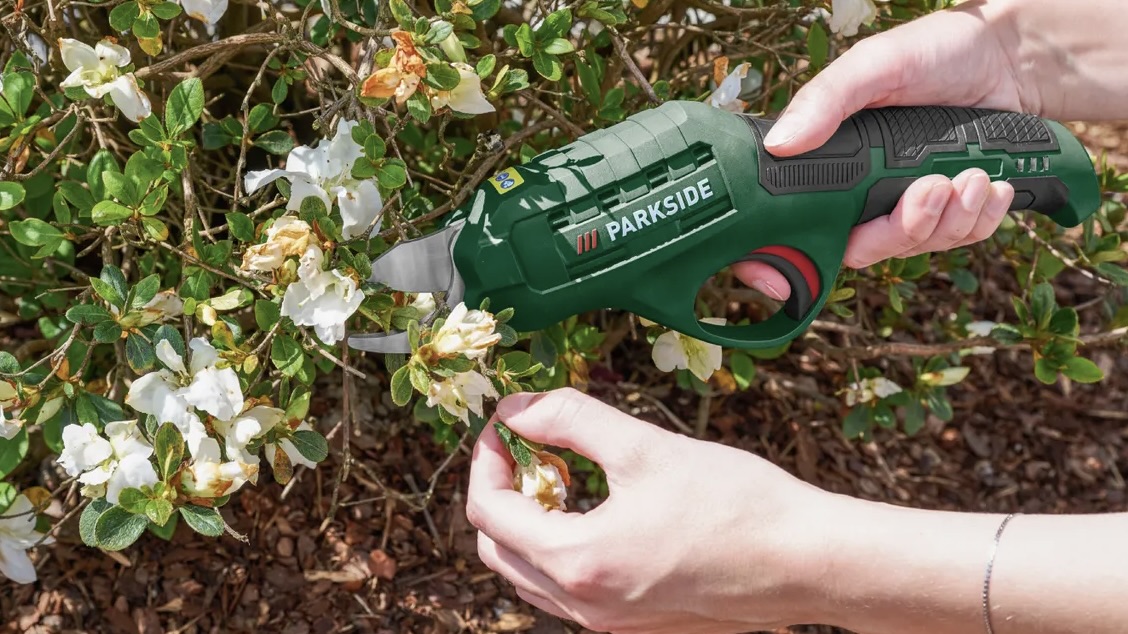 Parkside 4V Cordless Secateurs