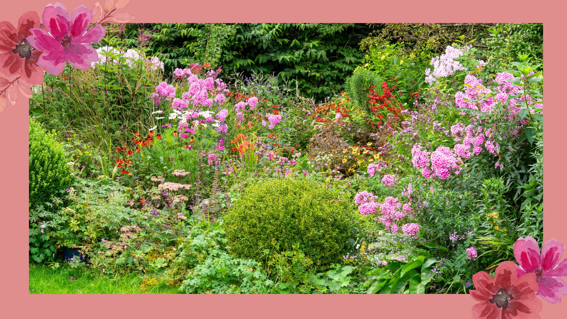picture of english garden with perennials growing