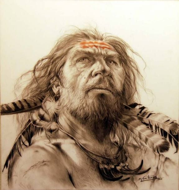 humans, Neanderthals, neandertals, habitat, population, extinction, modern humans, Europe, 