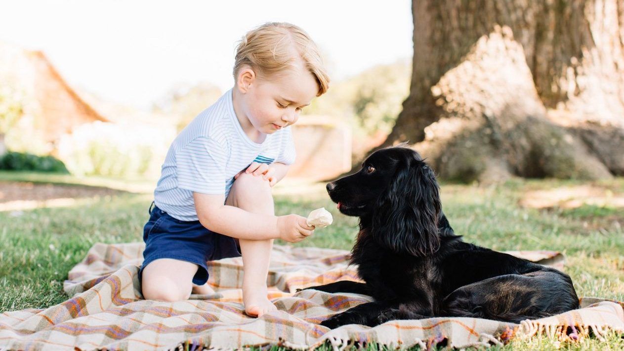 Prince George 3rd birthday photos