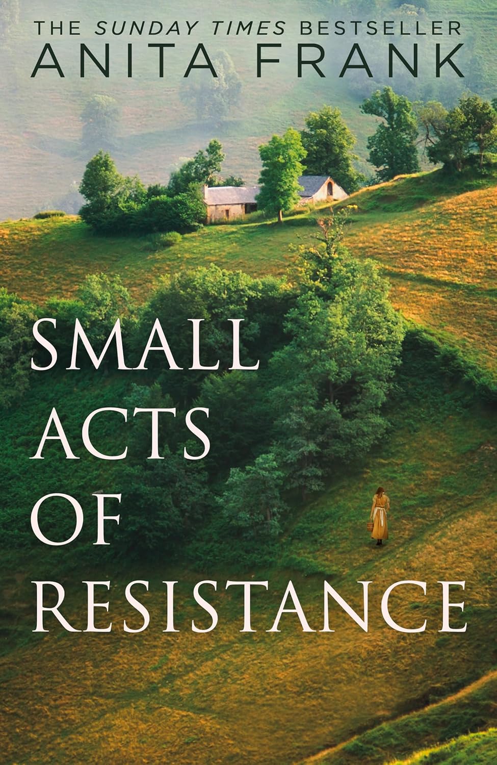 Small Acts of Resistance: the Emotional and Captivating First World War Historical Fiction Novel by the Sunday Times Bestselling Author of the Good Liars, Brand-New for 2025!