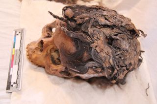 The remains of a 3,300-year-old woman who wore a complex hairstyle with 70 hair extensions was discovered in the ancient city of Armana.