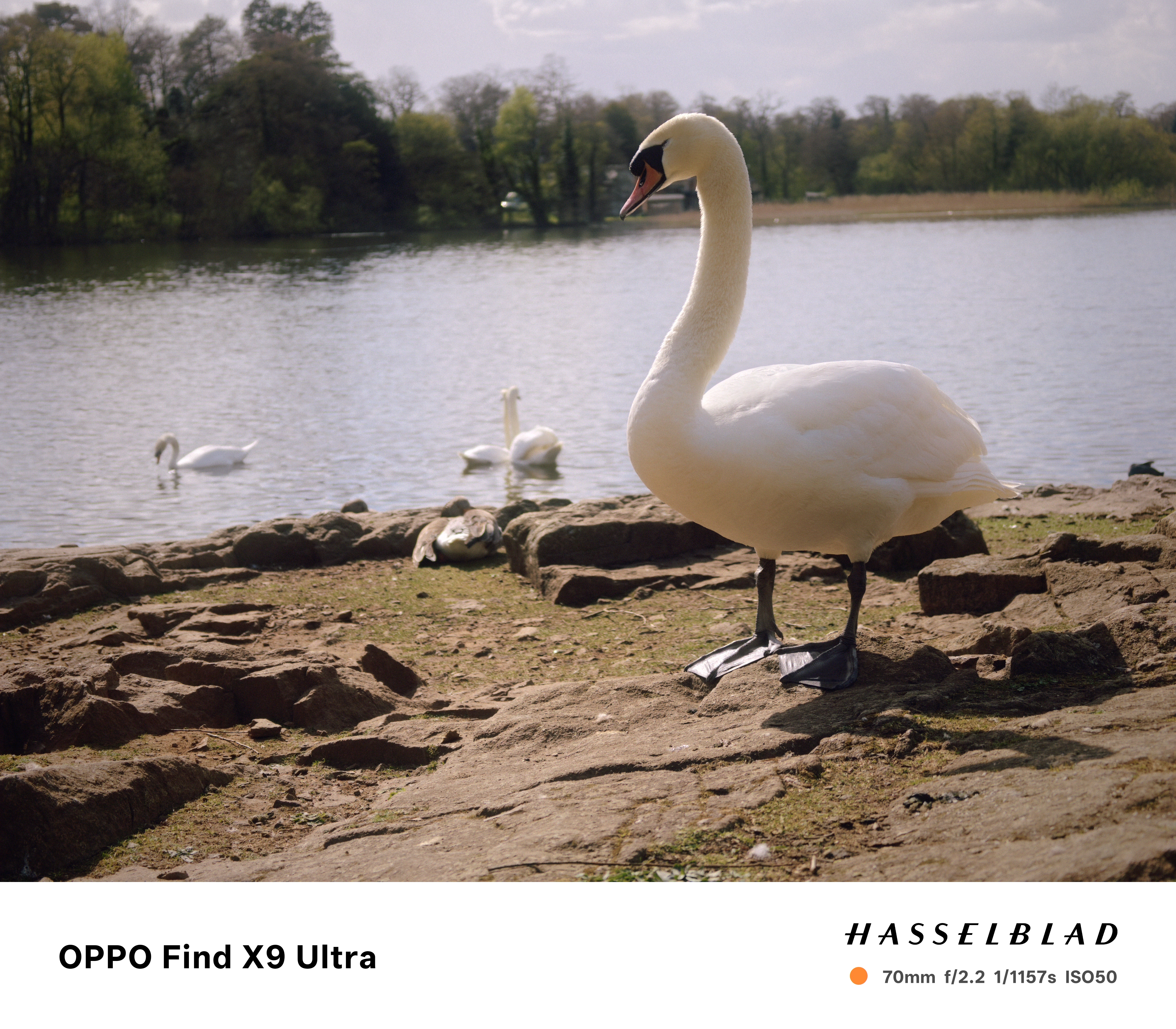 Oppo Find X9 Ultra Sample Photo