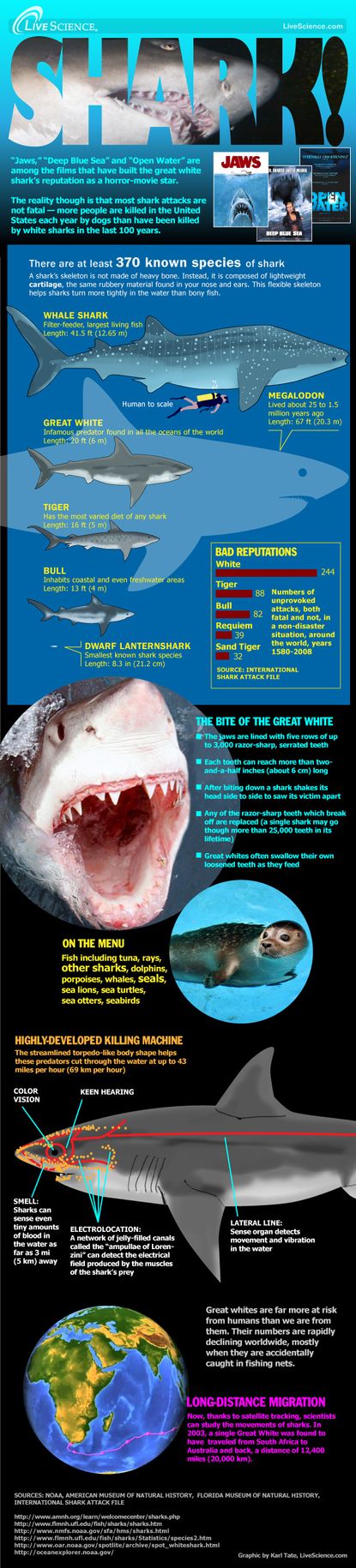 Sharks can be deadly and in many ways mysterious. But in the 35 years since "Jaws" first terrified movie-goers, (the movie was released June 20, 1975) science has revealed much about sharks, their evolution, and how they work. 