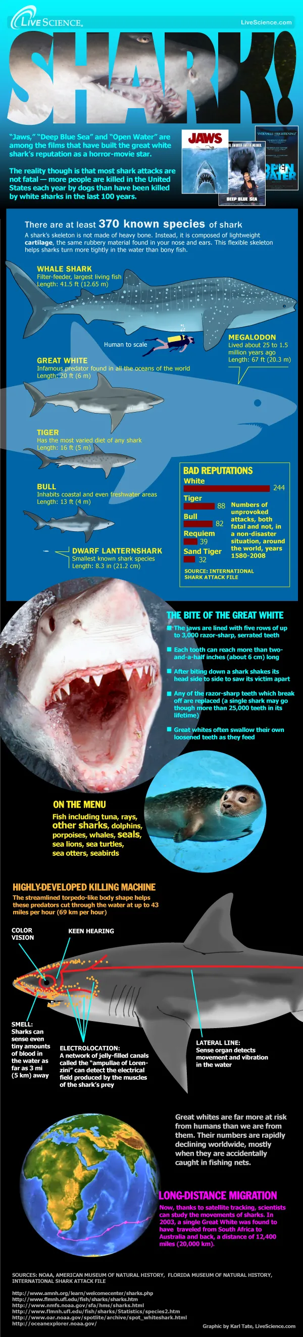 Sharks can be deadly and in many ways mysterious. But in the 35 years since 
