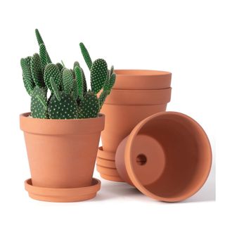 Clay Pots for Plants with Saucer 