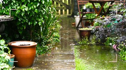 Garden photographed in the rain, close up on the paved path and potted plants