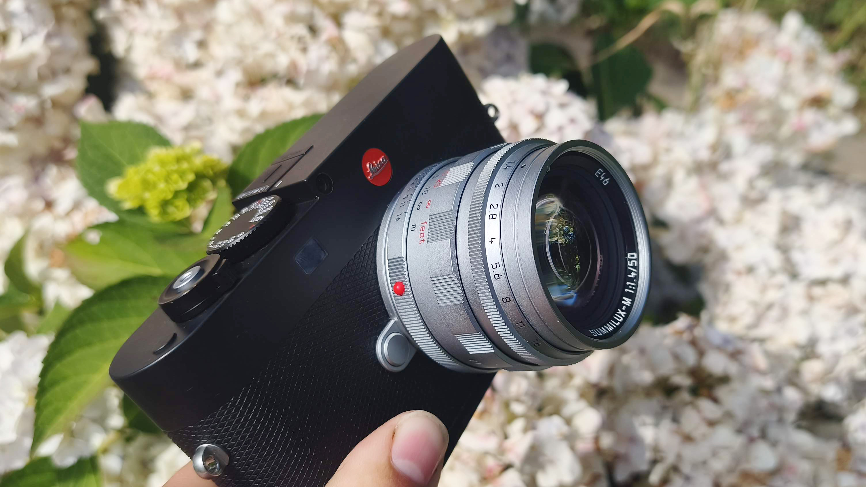 Leica 50mm Summilux f/1.4