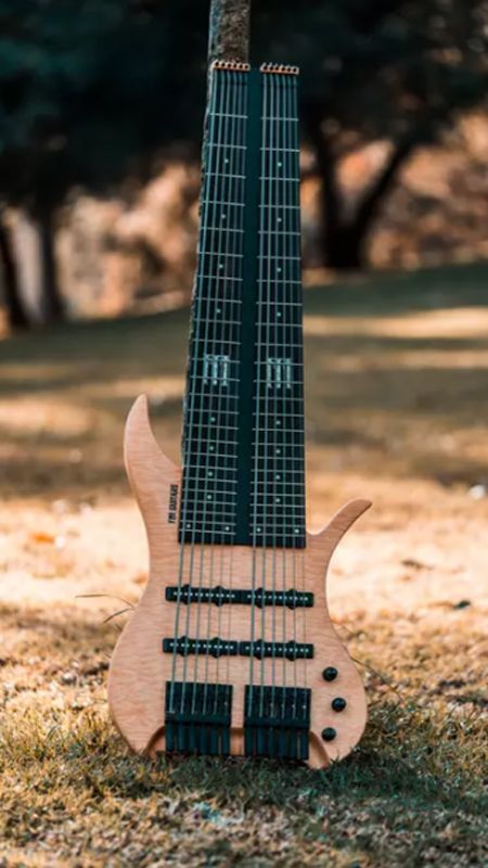 FM Guitars dual-fretboard bass