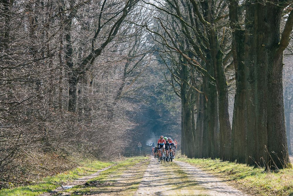 Peloton approaches during Ronde van Drenthe