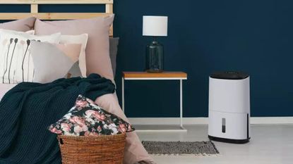 Navy blue bedroom with blue and pink bedding with a dehumidifier to support a guide to buying teh best dehumidifier for a bedroom