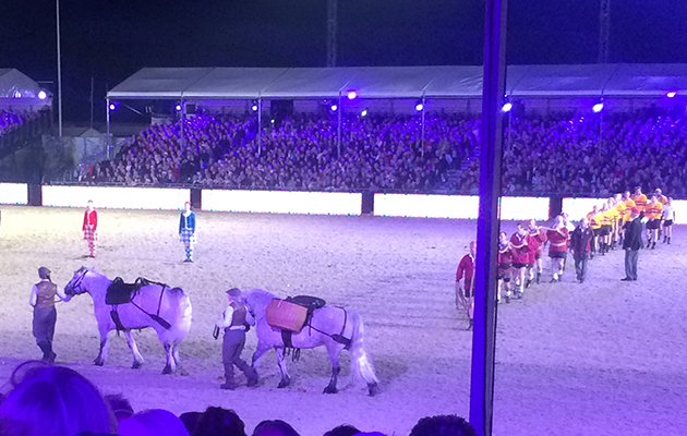 highlandponies