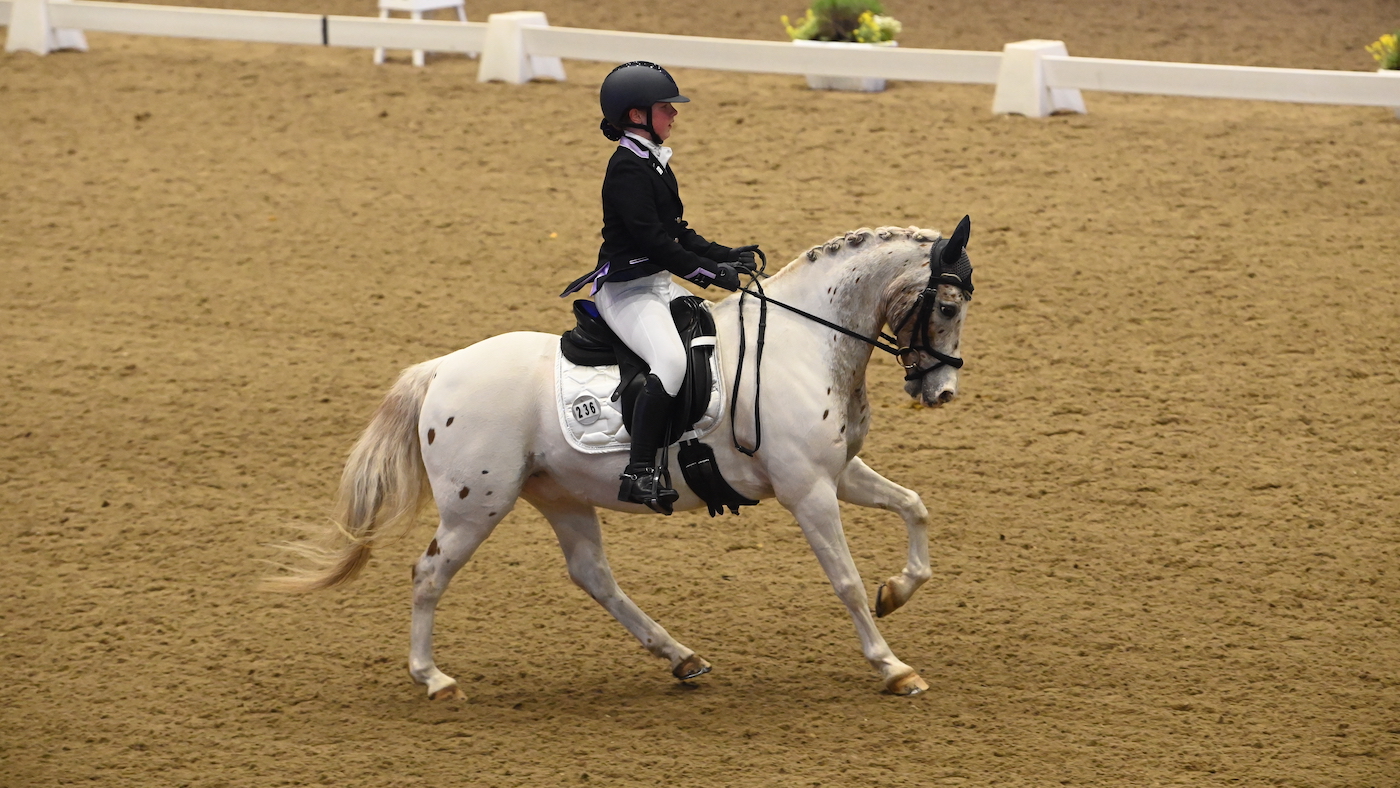 Winter Dressage Championships: Sophie Mansell and Bravo Freckles
