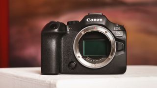 Canon EOS R6 Mark III camera