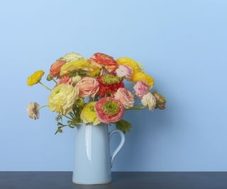 Flowers in a pale blue pitcher