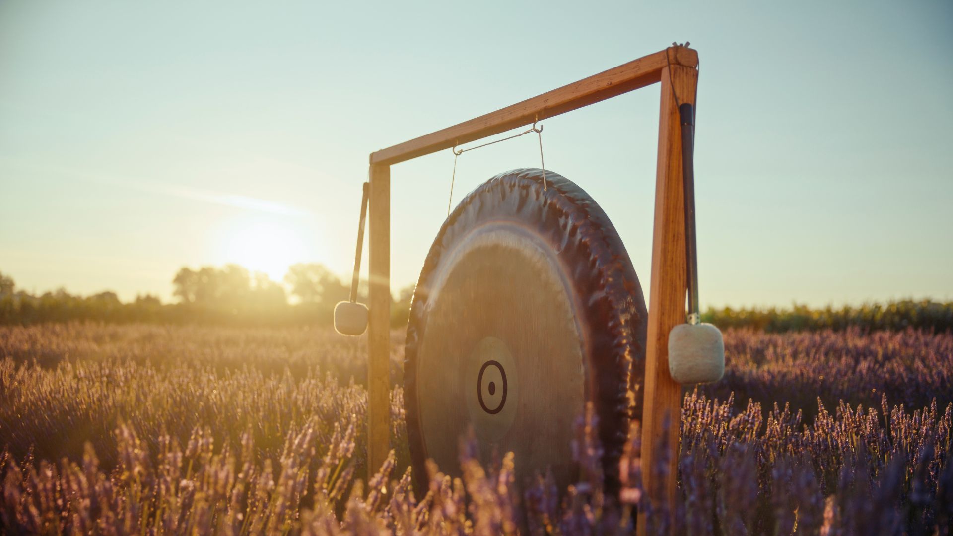 gong in field