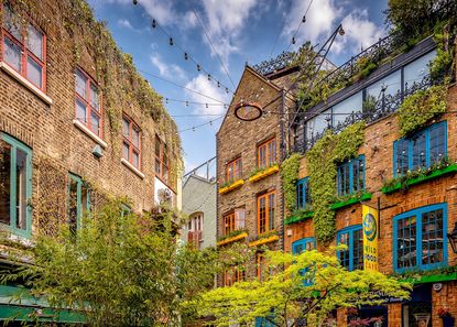 property neals yard