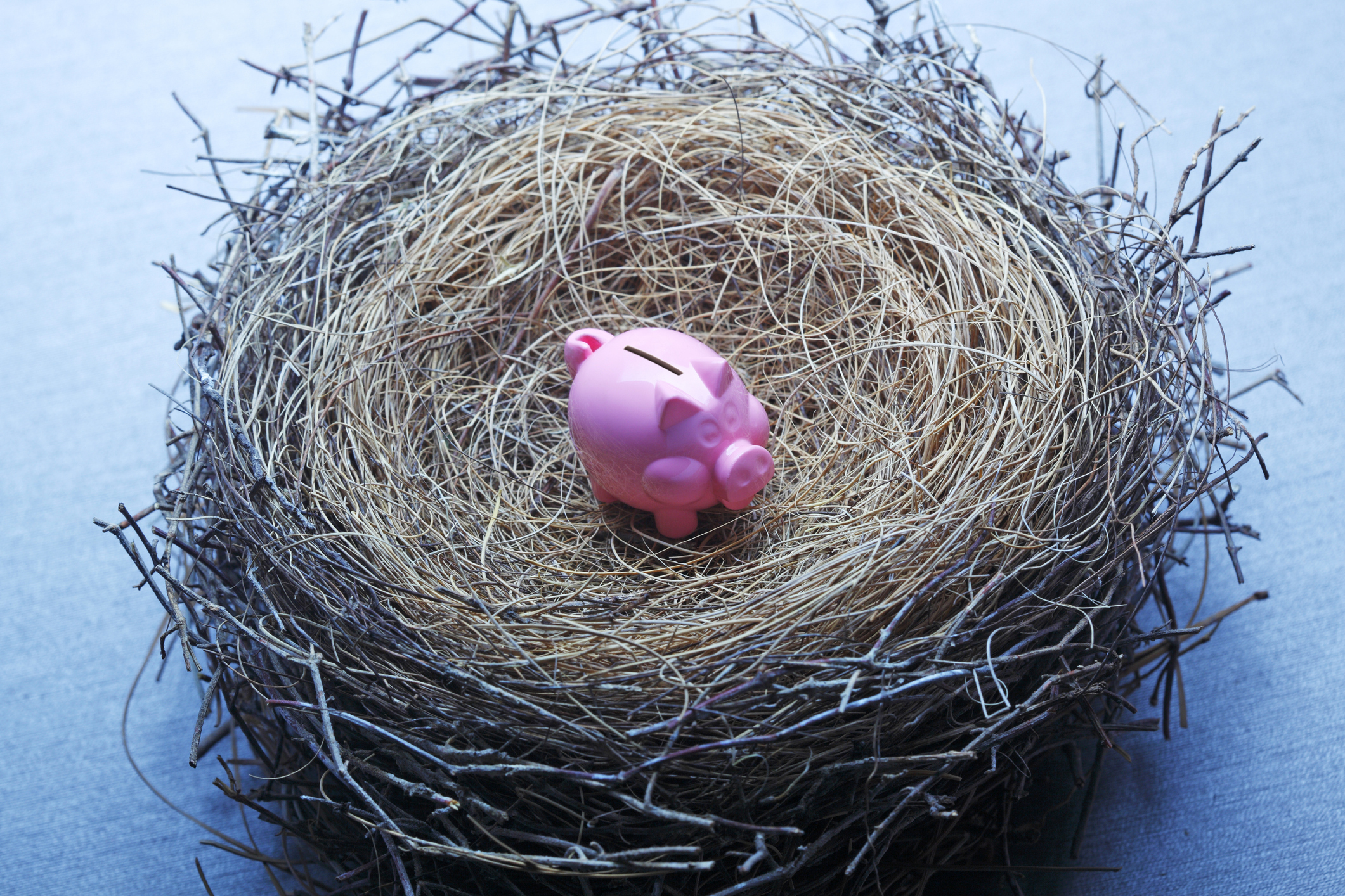 A tiny pink piggy bank sits in the middle of a bird&#039;s nest that suggests an insufficent nest egg.