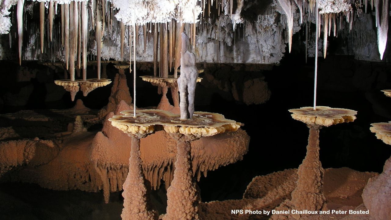 Cave lily pads are calcite formations that are created when water pools in a cave. We see a cave full of these lily pads with stalactites.