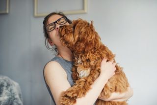 quick and easy tricks to teach your dog