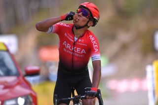 VALDEBLORE LA COLMIANE FRANCE MARCH 14 Arrival Nairo Quintana of Colombia and Team Arkea Samsic Celebration during the 78th Paris Nice 2020 Stage 7 a 1665km stage from Nice to Valdeblore La Colmiane 1500m Paris Nice 2020 final stage as part of the fight against the spread of the Coronavirus ParisNice parisnicecourse PN on March 14 2020 in Valdeblore La Colmiane France Photo by Luc ClaessenGetty Images