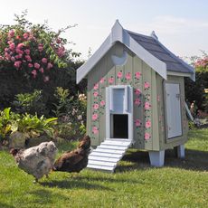 garden area with coops and hens