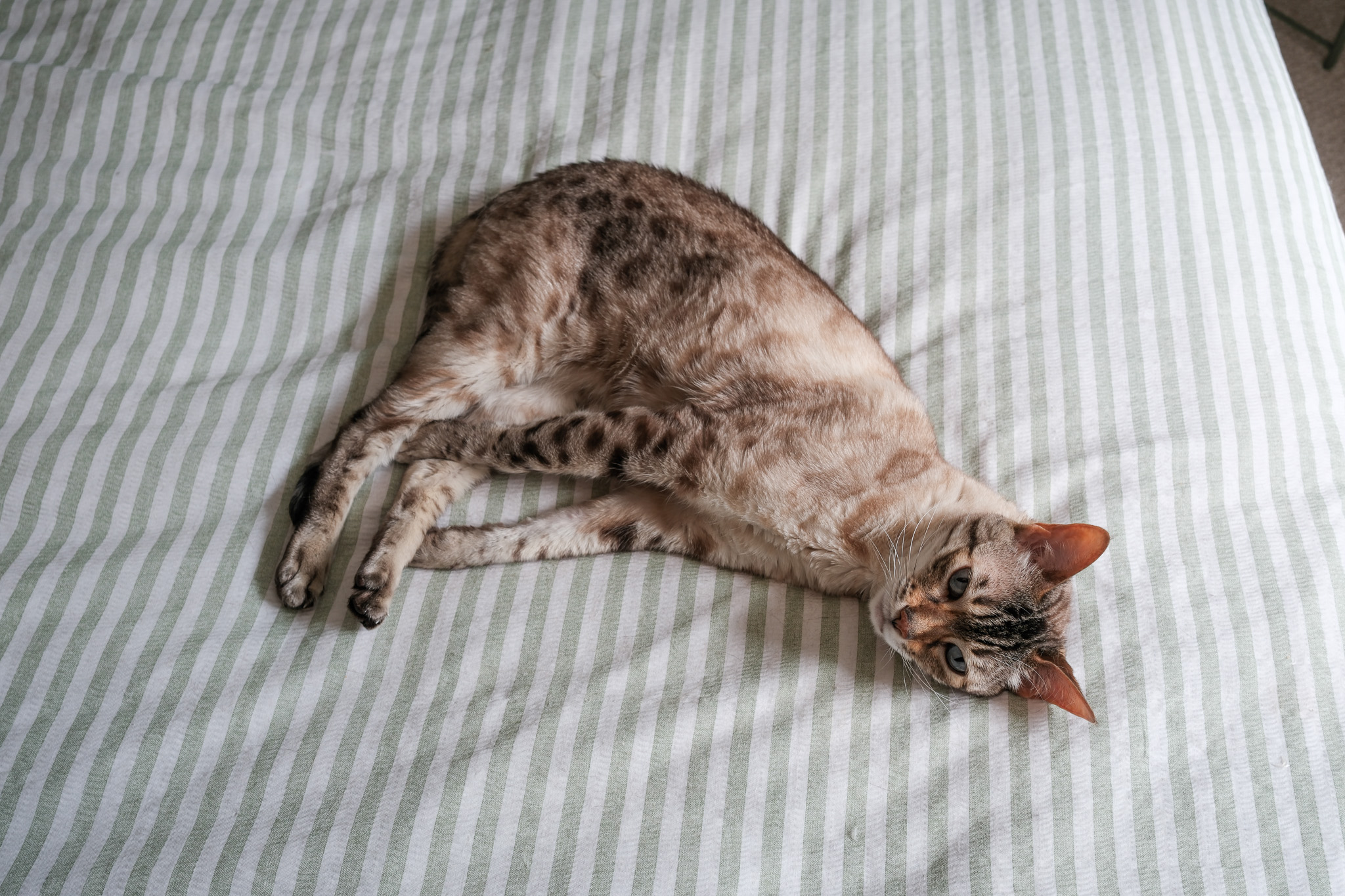 Fujifilm X-E5 sample photograph