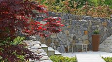 stone wall, steps, and acer in Annika Zetterman garden design