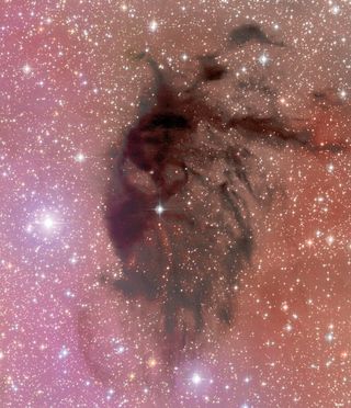 Interstellar Cloud Barnard 92