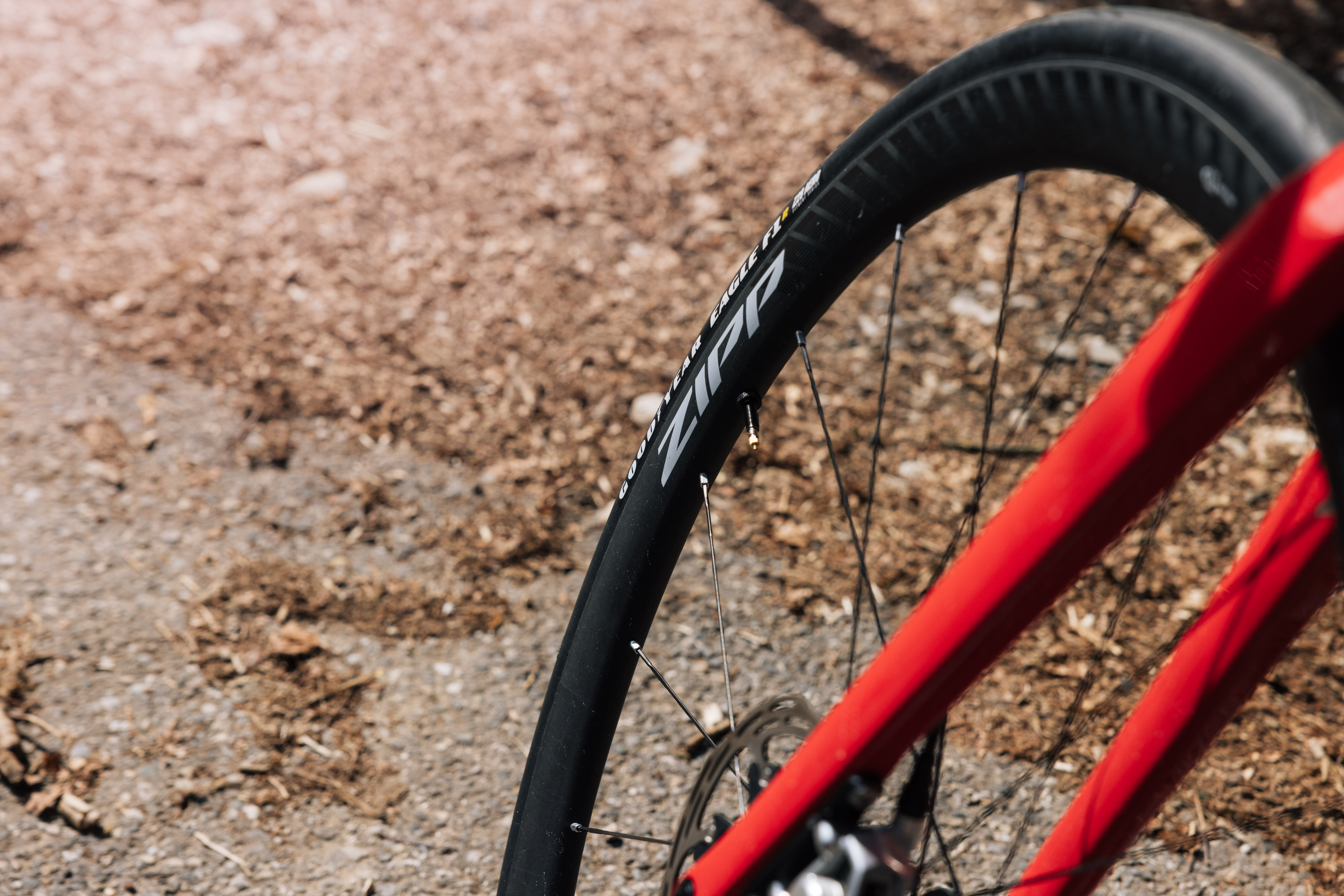 riding and lifestyle shots from the Zipp launch ride