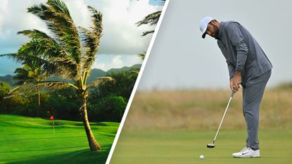 Wind blowing trees on a golf course and Scottie Scheffler hitting a putt at the Open Championship