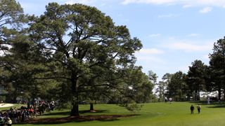The Eisenhower Tree on the 17th at Augusta