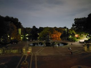 Samsung Galaxy Fold camera review