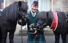 Shetland mascot Cruachan III