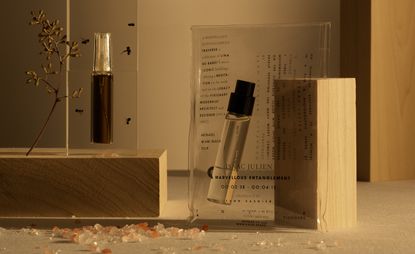 Two bottles of perfume, one in a plastic case and the other encased in transparent perspex
