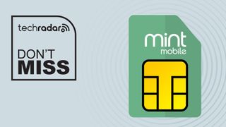 Mint Mobile branded SIM card on grey background with don't text overlay