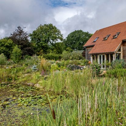 A garden by a house with a pond