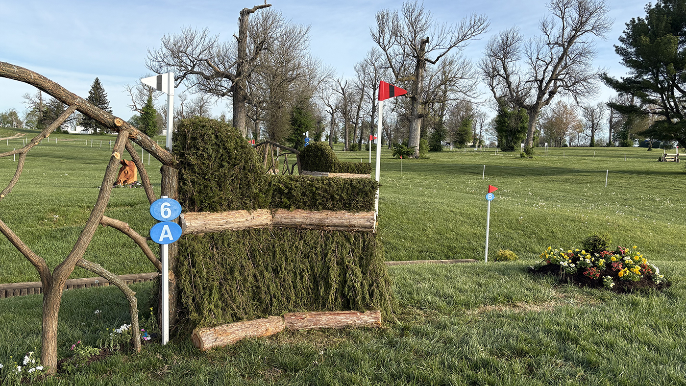 Fence6a