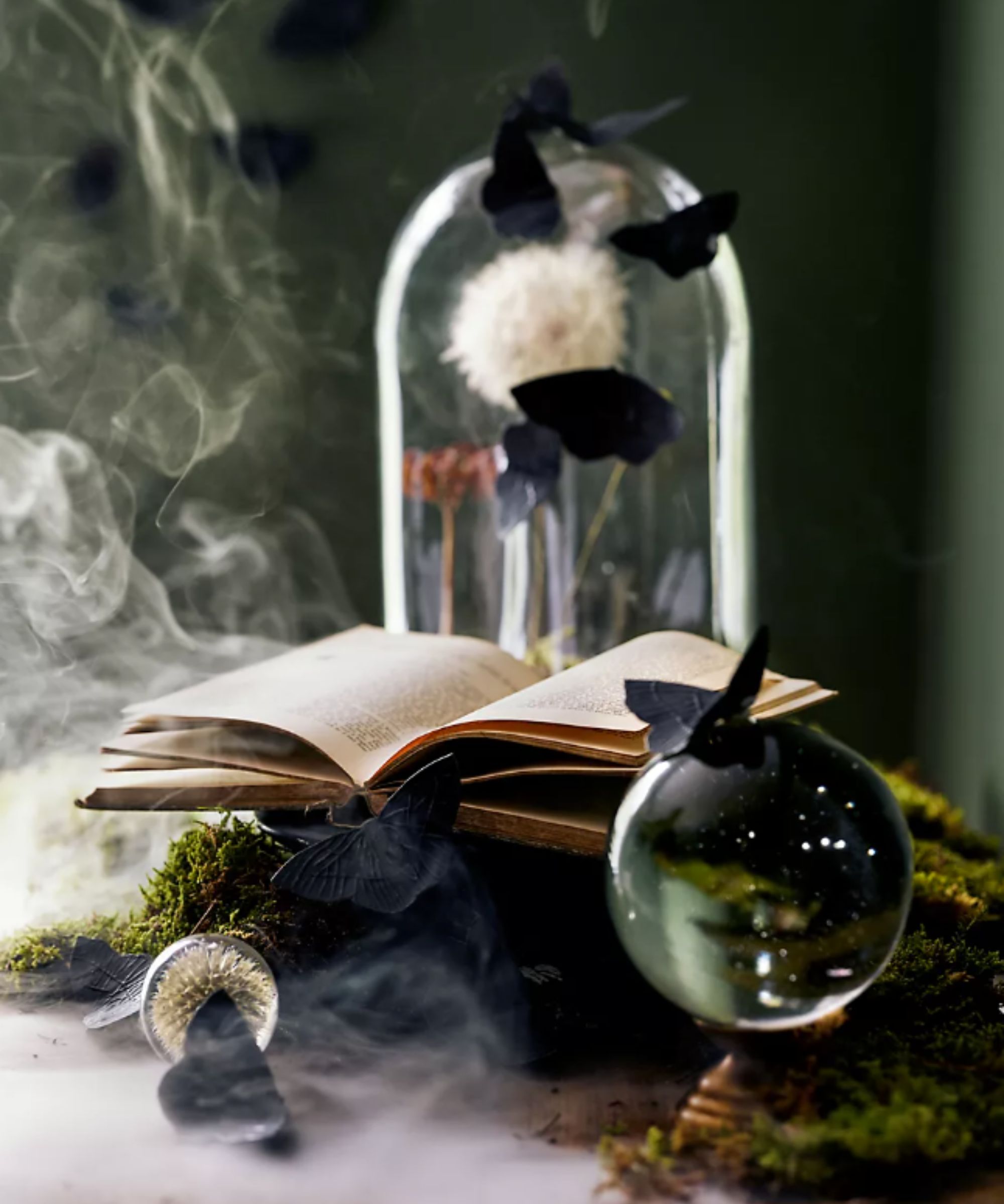 Glass cloche with bat decorations and moss