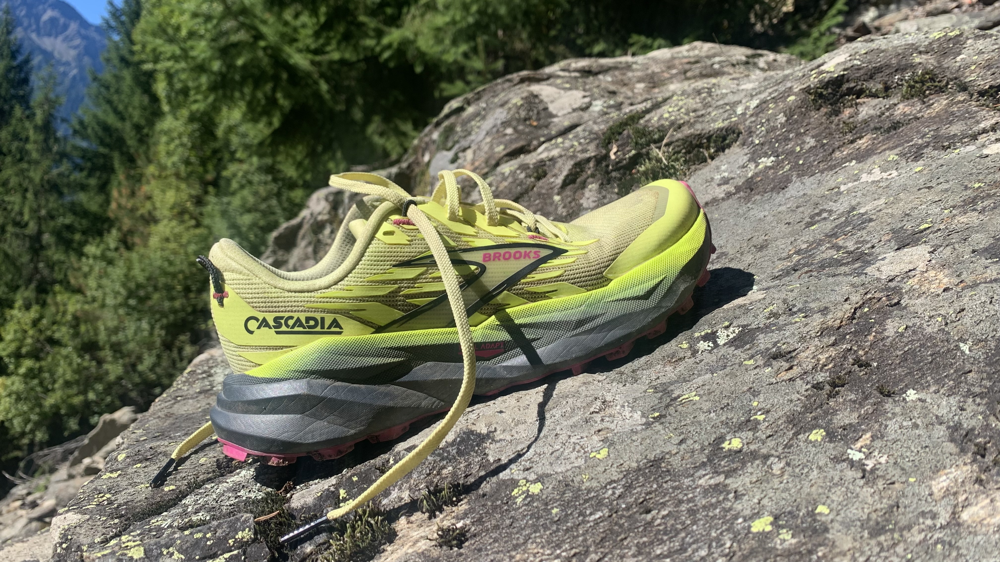 Brooks Cascadia 19