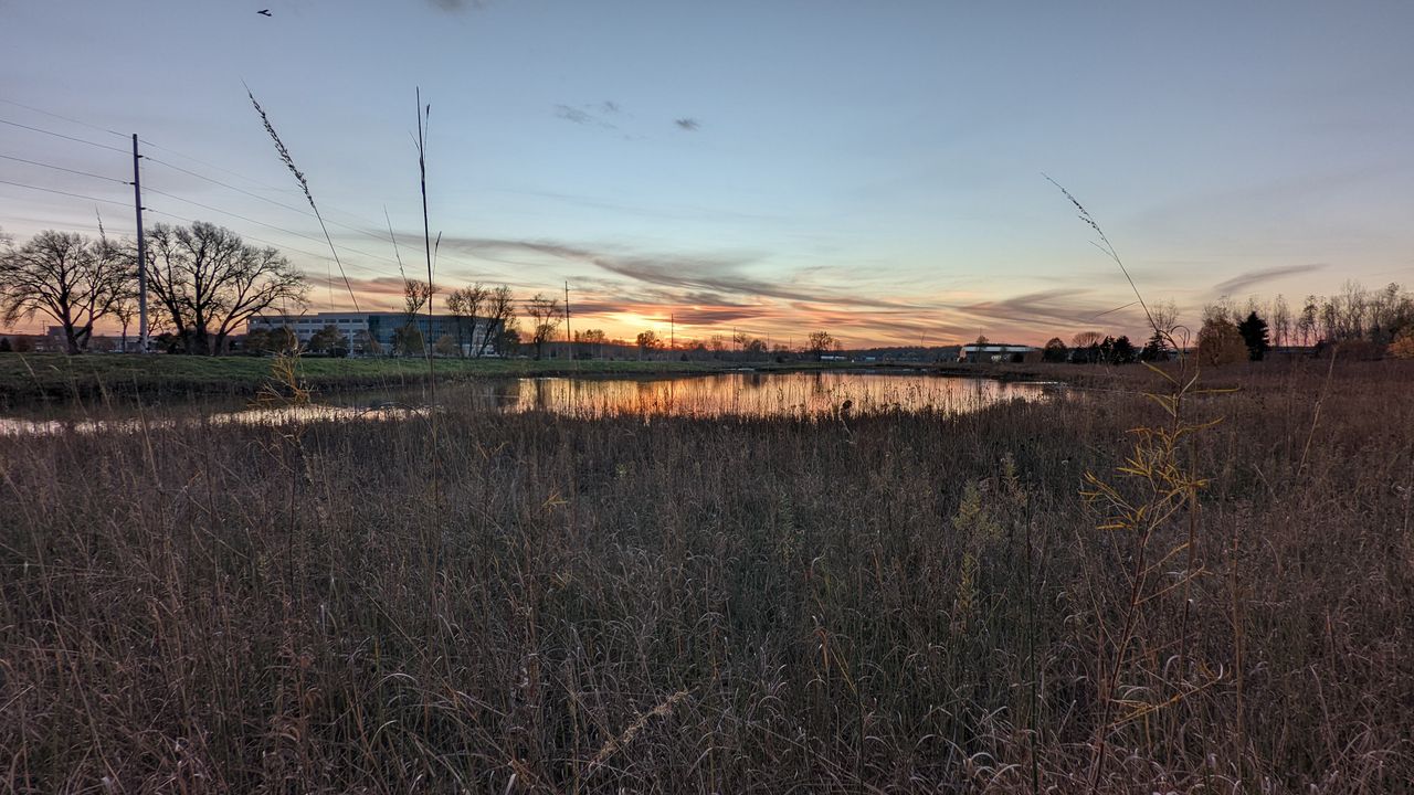 Pixel 6 Pro camera sample